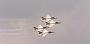 1984-06 Thunderbirds op SSB-6